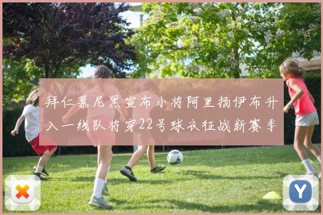 拜仁慕尼黑宣布小将阿里扬伊布升入一线队将穿22号球衣征战新赛季