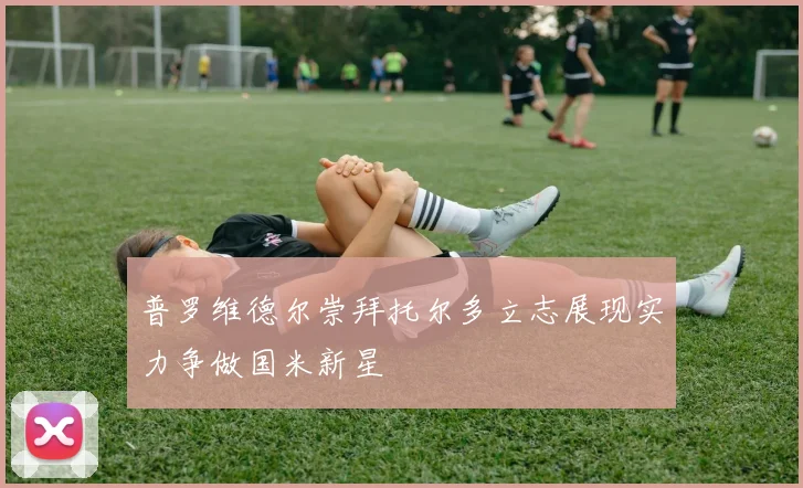 普罗维德尔崇拜托尔多立志展现实力争做国米新星