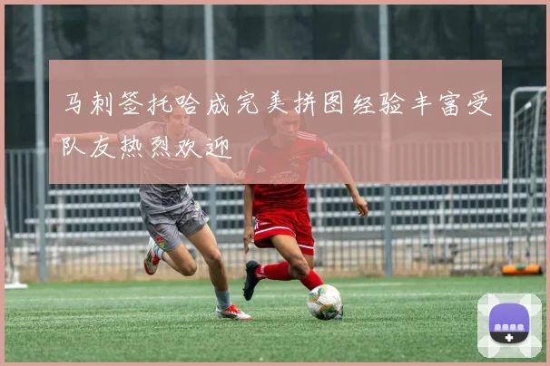 马刺签托哈成完美拼图经验丰富受队友热烈欢迎