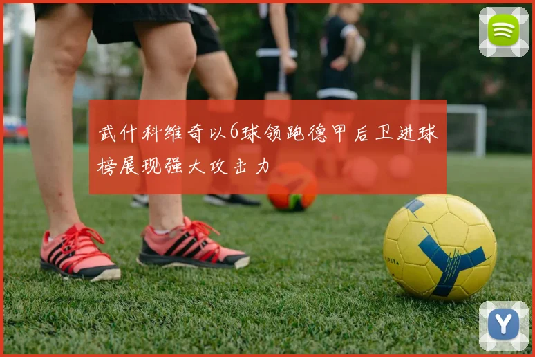 武什科维奇以6球领跑德甲后卫进球榜展现强大攻击力