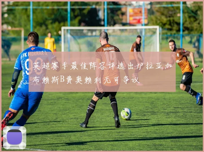 英超赛季最佳阵容评选出炉拉亚加布赖斯B费奥赖利无可争议